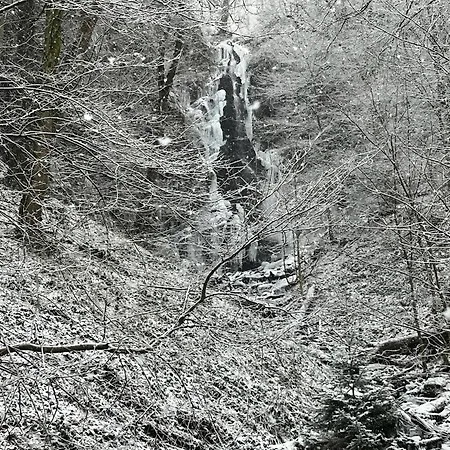Vierlaendereck Nahe Winterberg