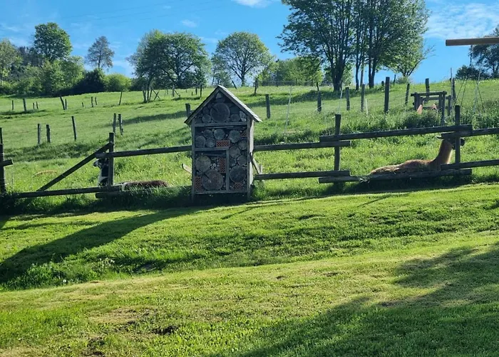 Апартаменты Vierlaendereck Nahe Winterberg