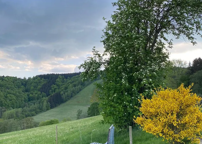 Vierlaendereck Nahe Winterberg